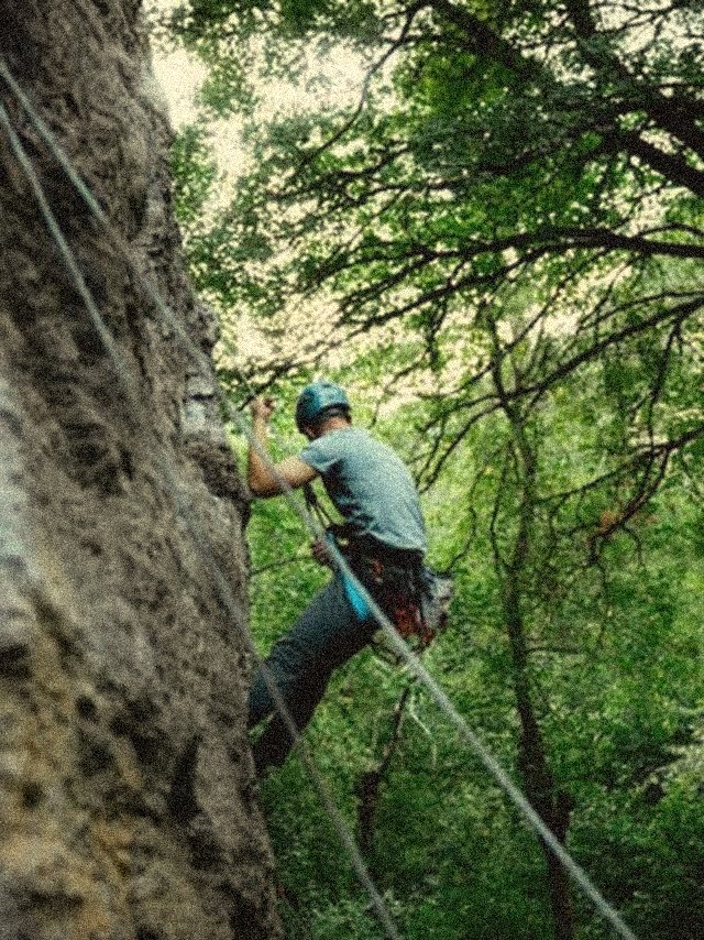 Rope climbing in the trees